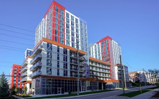 featured image of 239 Albert St