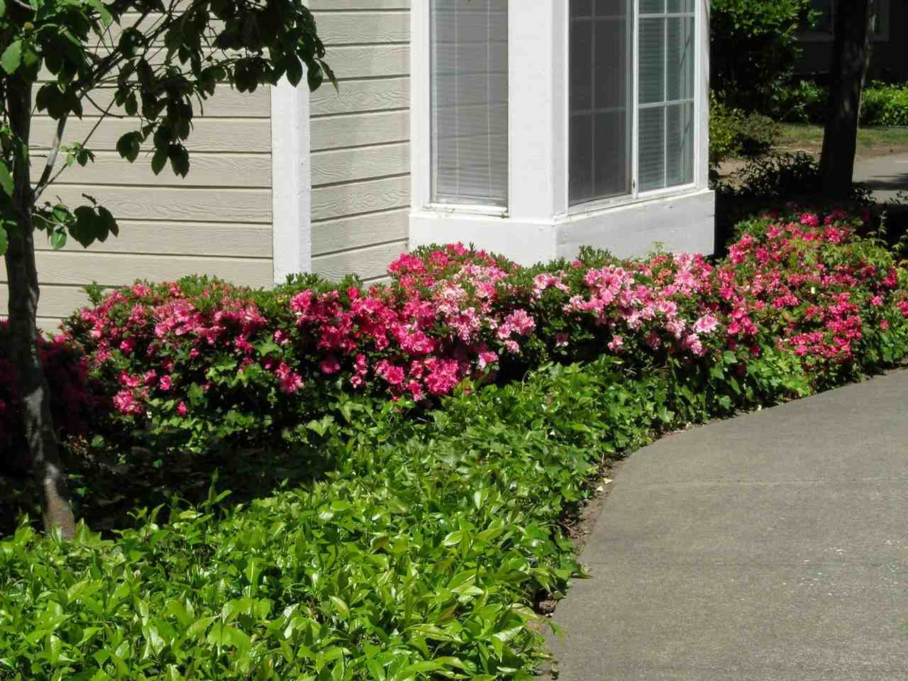 Lazzini Ave #B - Photo 5 of 6