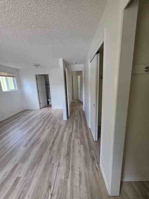 1903 Dawn Ct - Photo 5 of 13