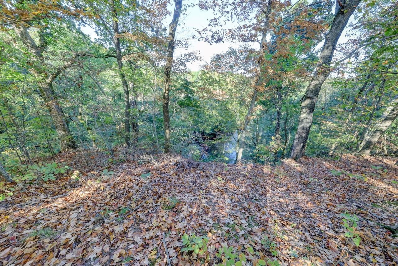 2463 Elkmont Dr - Photo 6 of 50