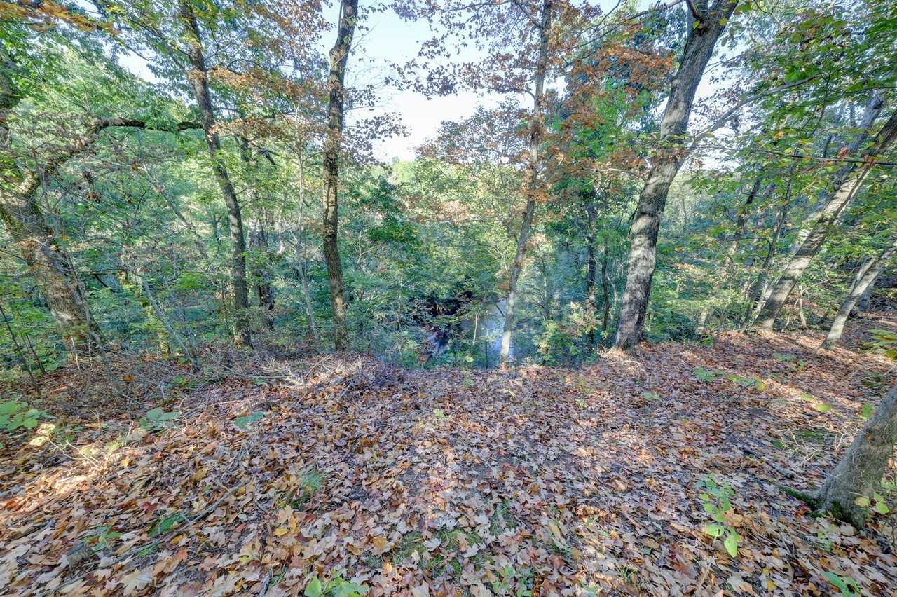 2463 Elkmont Dr - Photo 7 of 50