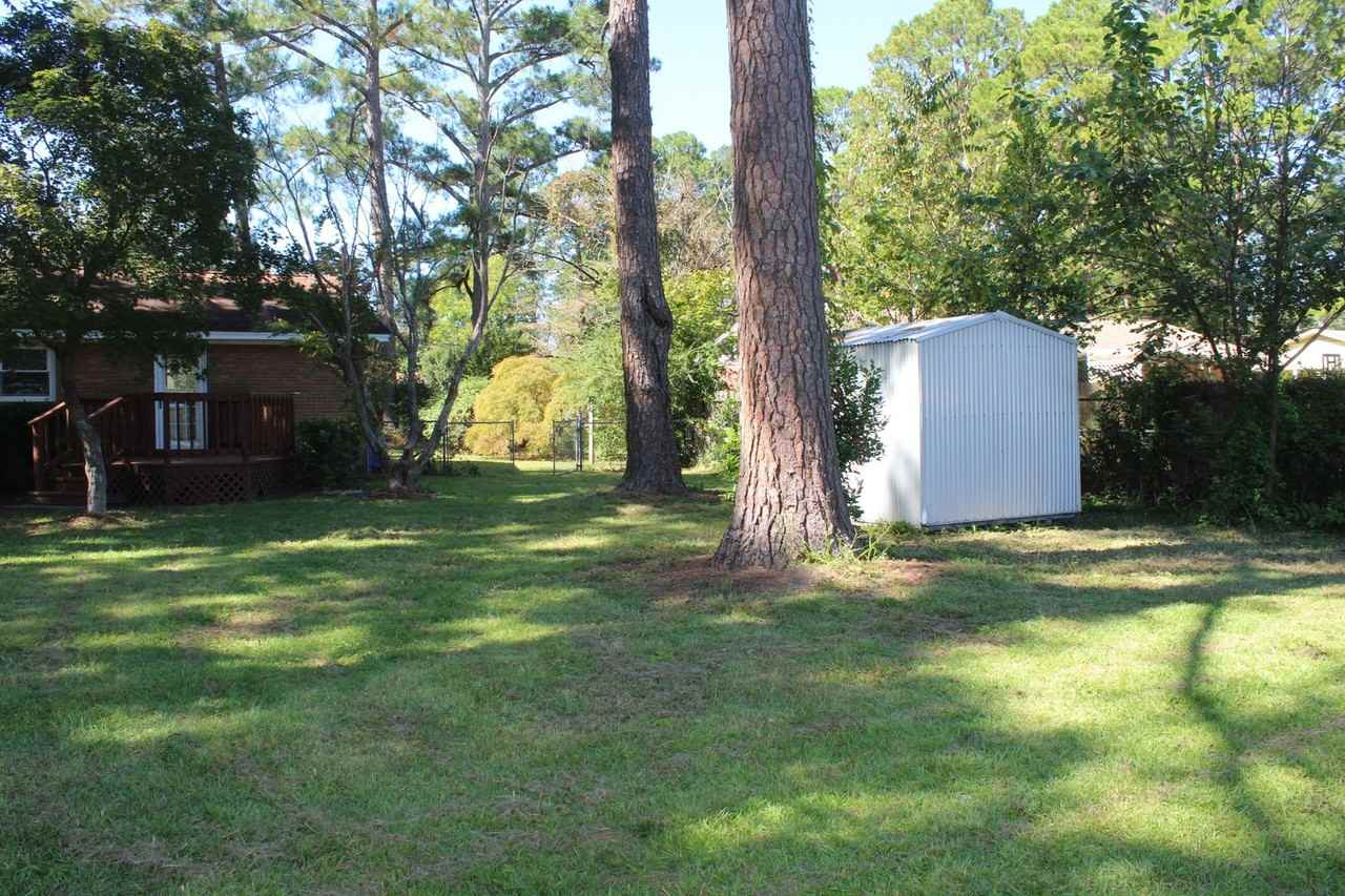 1015 Bingham Dr - Photo 3 of 16