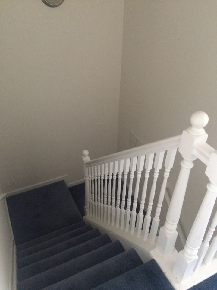 1632 E Preston St - Photo 6 of 17