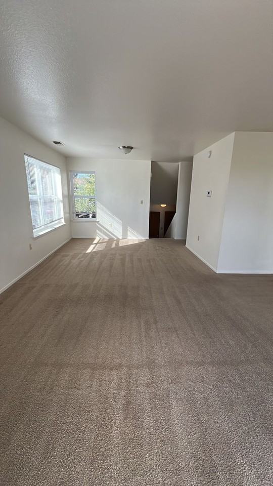331 Black Elk Ct - Photo 6 of 8