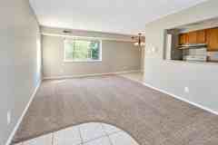 1954 AMATO DRIVEAPT 31 #31 - Photo 1 of 1