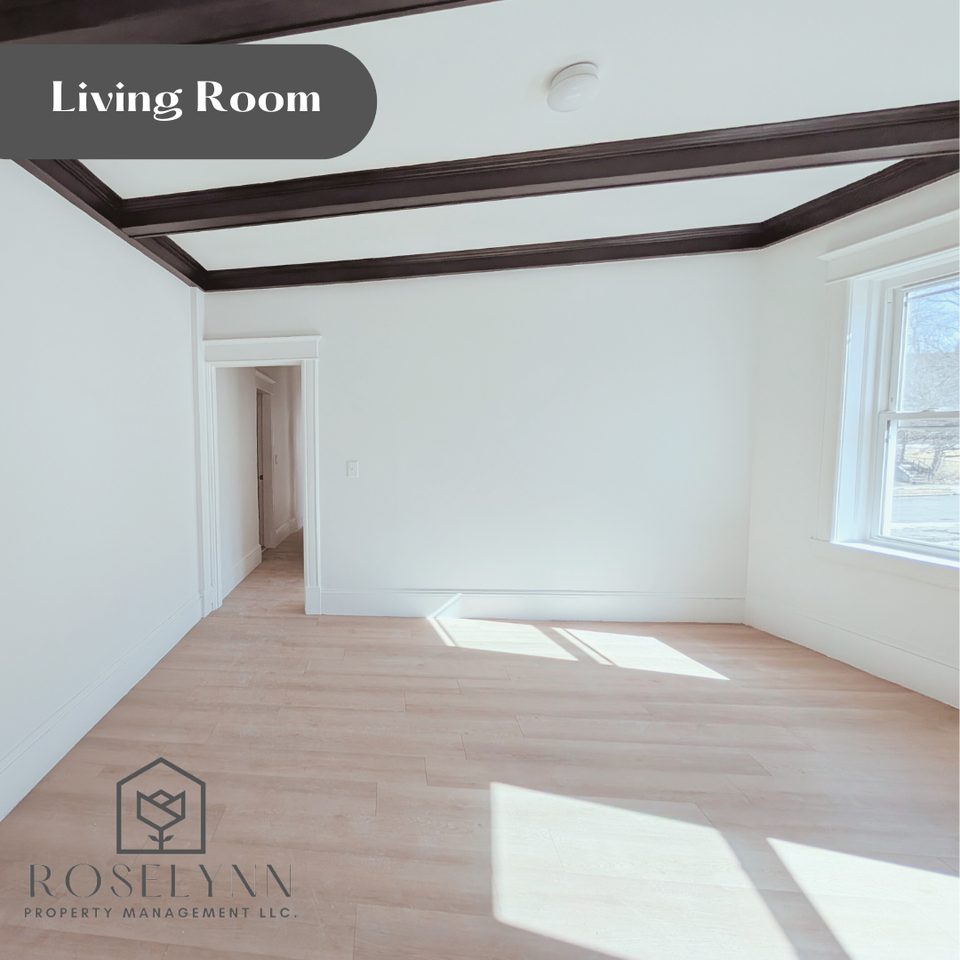 24 Coomes St #3R