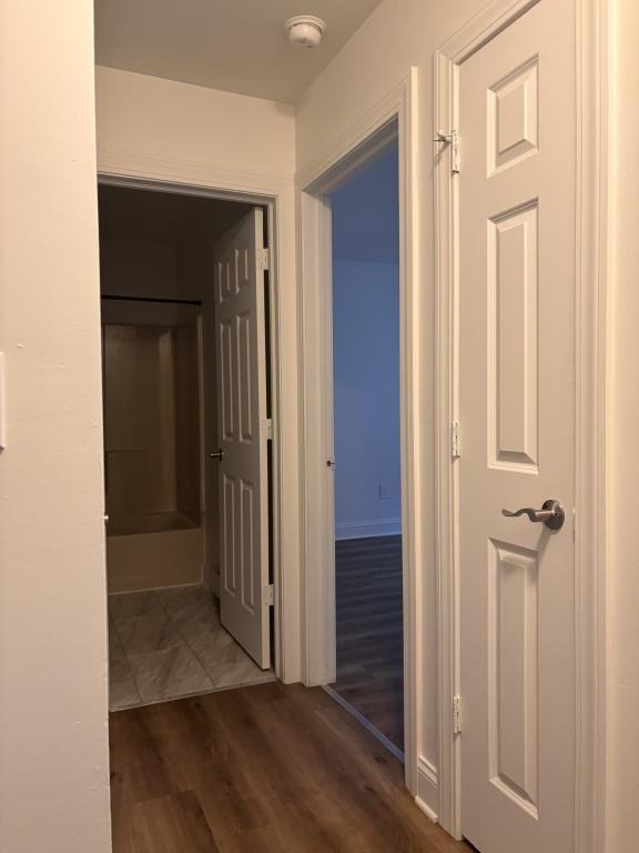 52 Clifford Rd Apt C - Photo 5 of 12