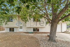 6404 Constellation Dr - Photo 1 of 1
