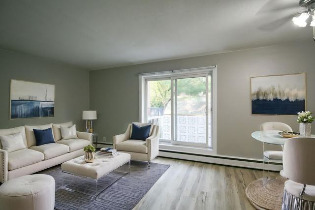 2 Bedroom in Mount royal