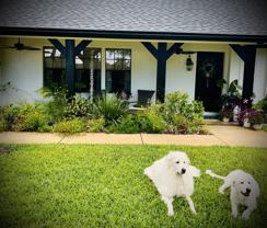 1420 Oak Forest Dr #NA - Photo 1 of 1