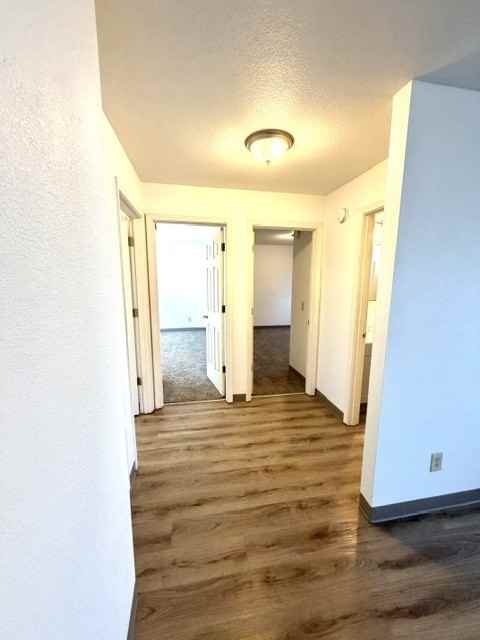 1817 Medart Lane - Photo 4 of 14