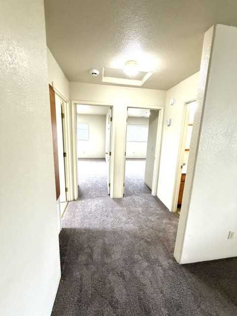 1736 Medart Lane - Photo 6 of 11