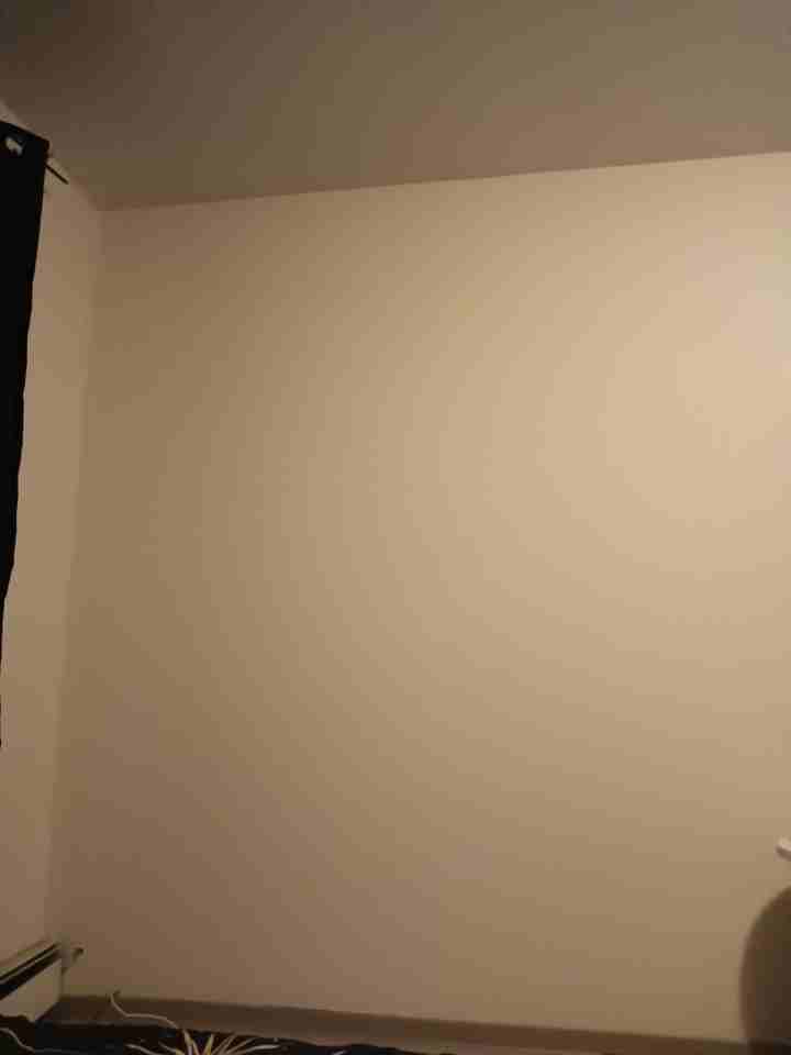 630 Guelph Street - Photo 2 of 3