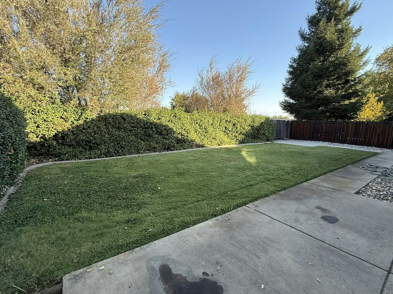 313 Royal River Drive - Photo 5 of 20