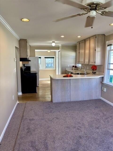 890 Sunrise Park St - Photo 6 of 17