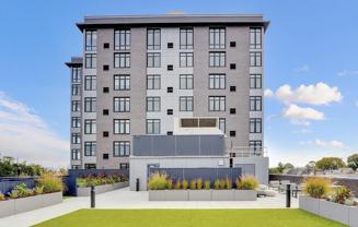 957 Broadway #208 - Photo 1 of 1