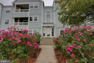 8513 Falls Run Rd #F - Photo 1 of 1