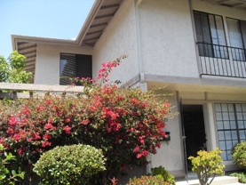 9568 Easter Way - Photo 1 of 1