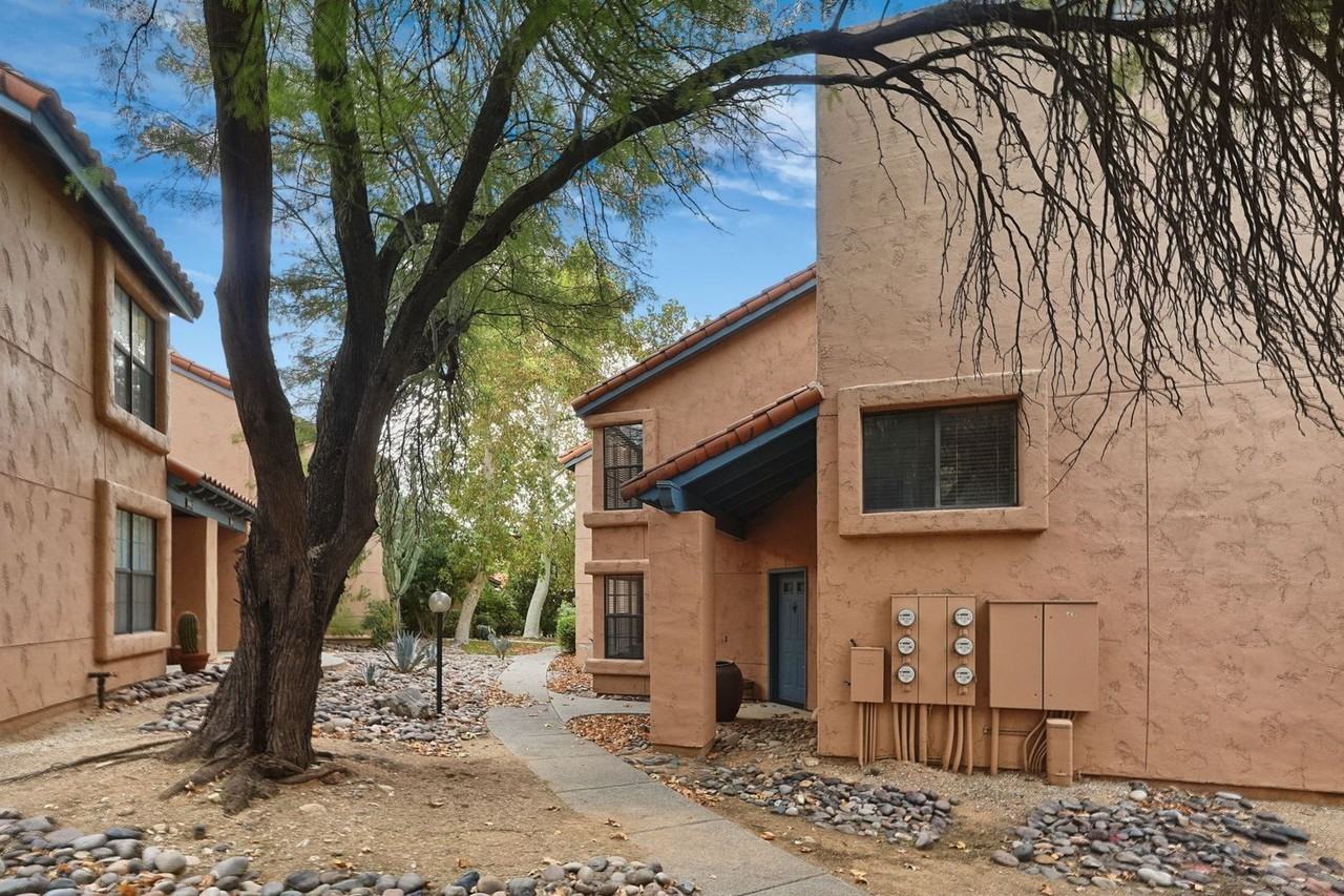 5491 N Via Del Arbolito - Photo 2 of 45