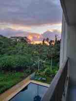 1875 Kalanianaole St #404 - Photo 1 of 1