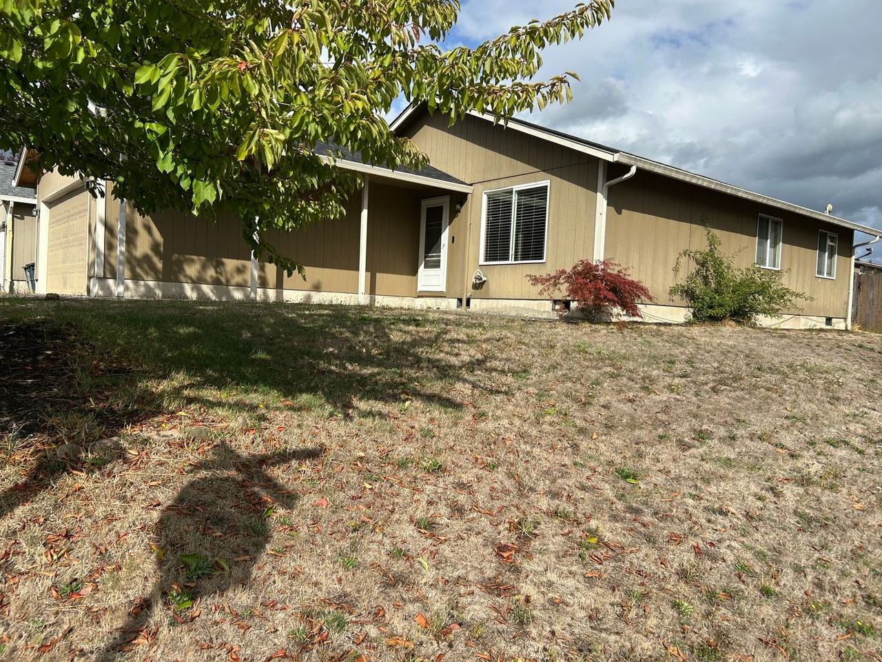 234 Loganberry St