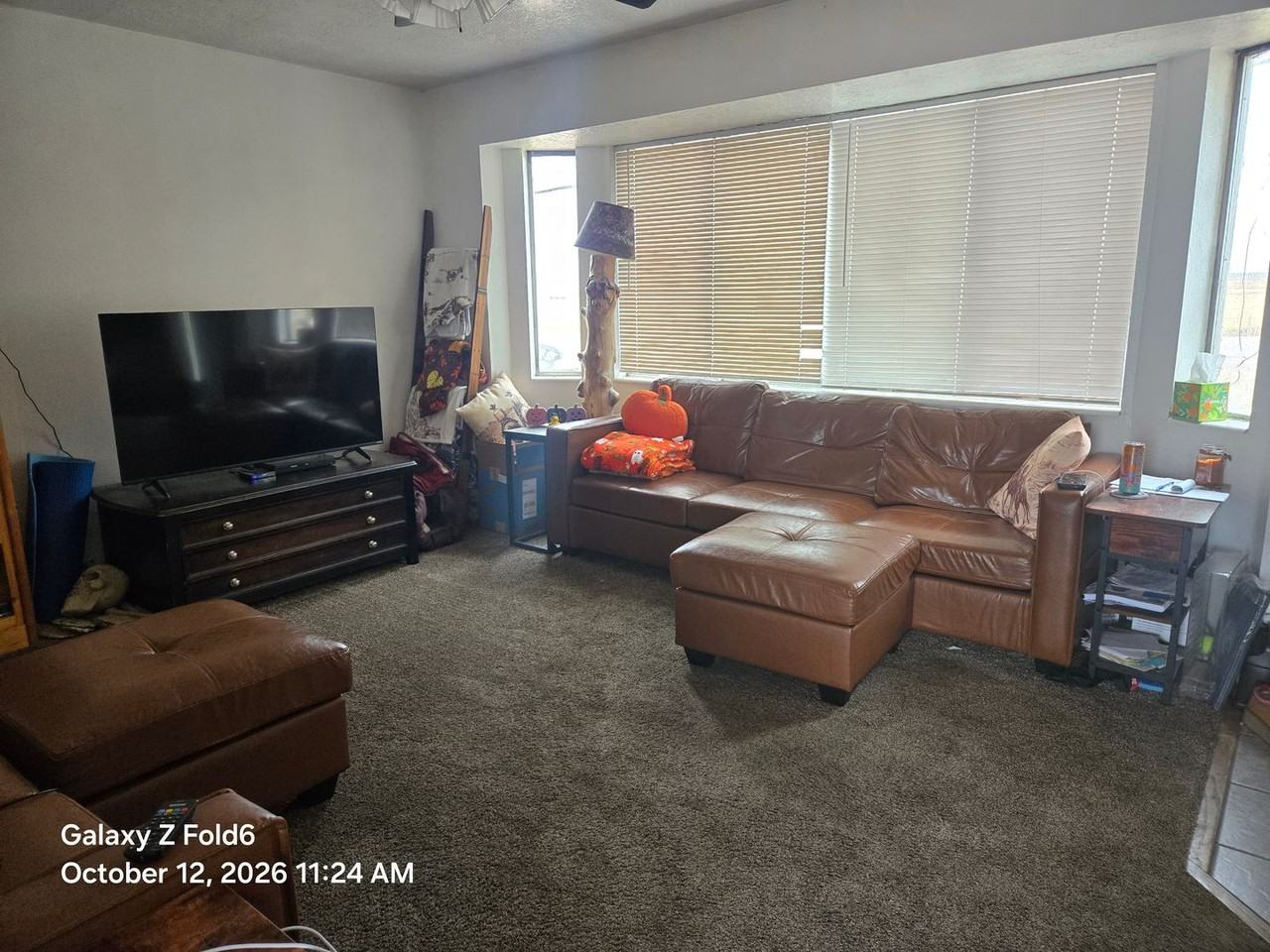 1351 Piney Dr - Photo 4 of 16