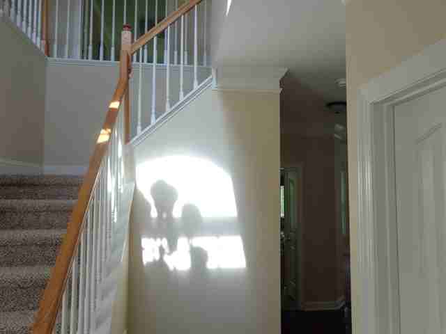 8401 Forest Shadow Cir - Photo 2 of 17