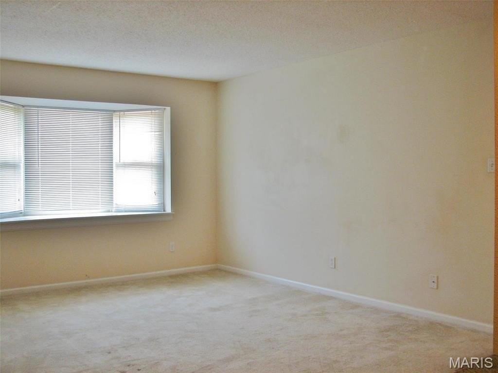 1380 Willow Brook Cove Ct - Photo 7 of 15