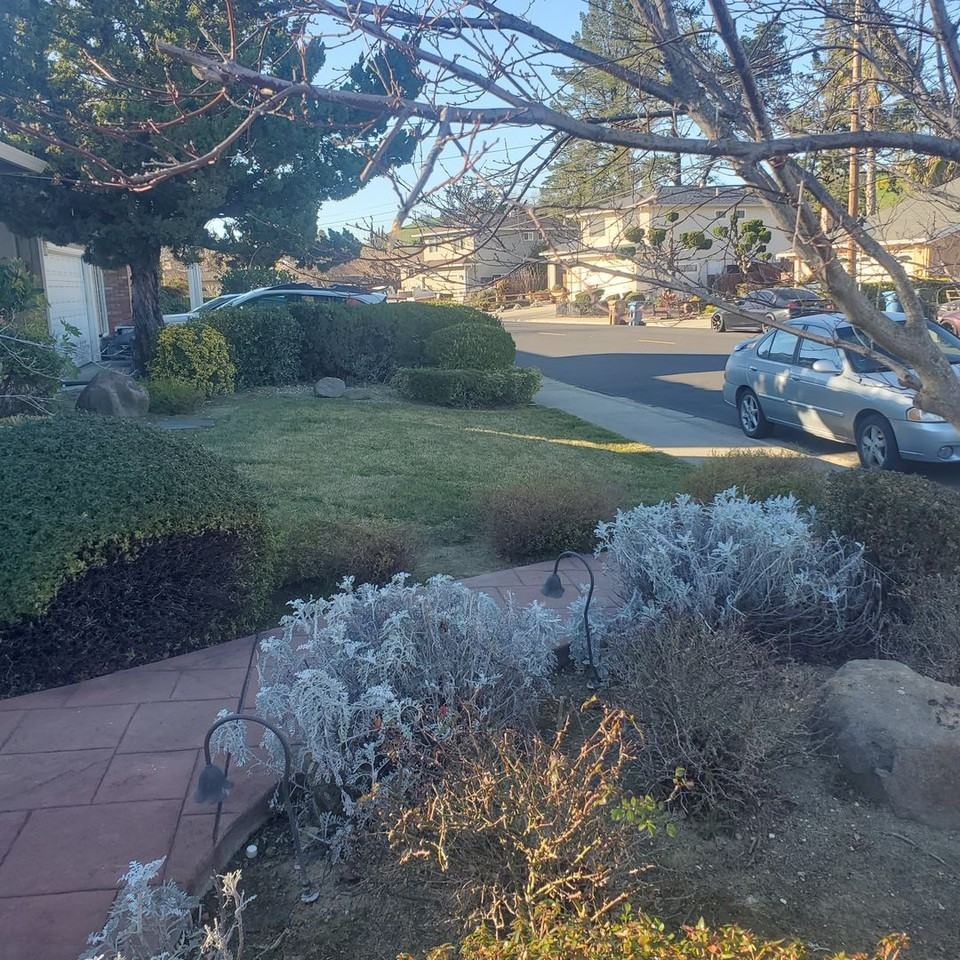 263 Donegal Way - Photo 3 of 36