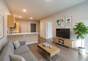 featured image of 225 S 16th St