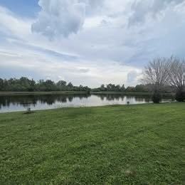 229 Stonebridge Circle - Photo 5 of 16