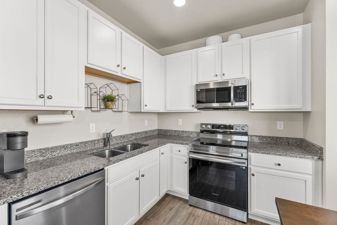 233 Shoveler Way - Photo 4 of 19