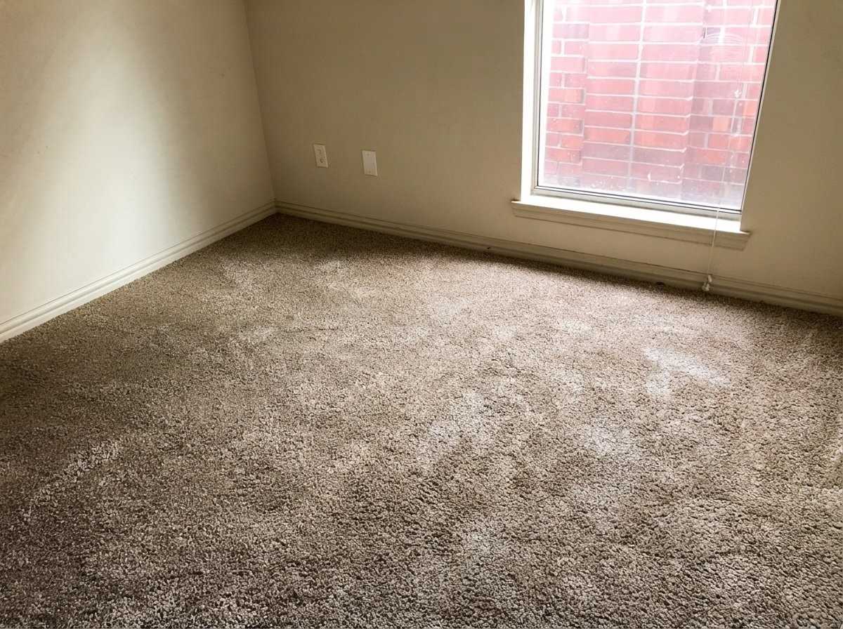 2339 Calendar Ct - Photo 5 of 5