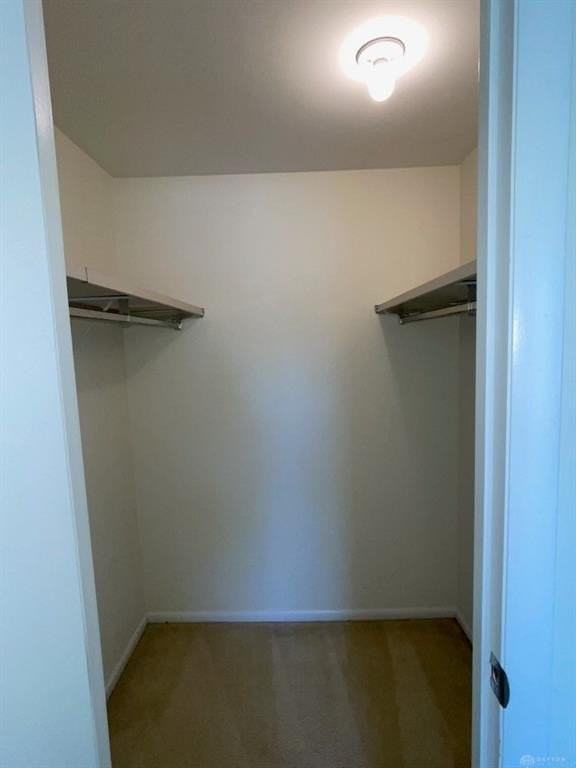 1006 Stoneybrook Trl - Photo 6 of 14