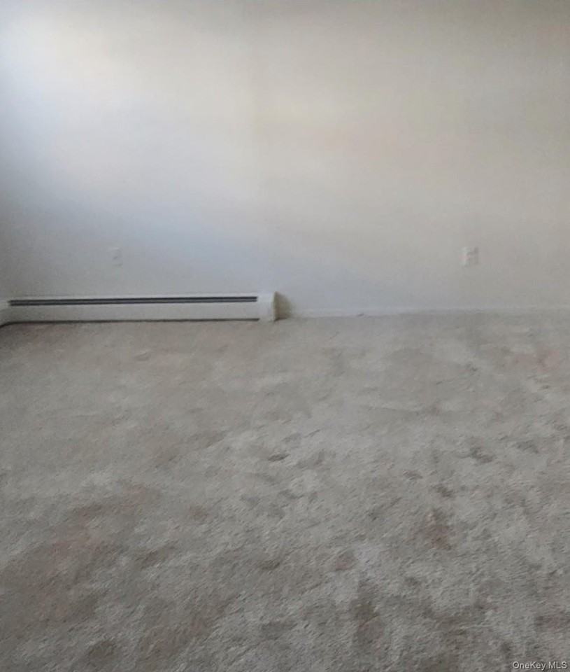 400 N Corona Avenue, Valley Stream,NY #B1 - Photo 7 of 13