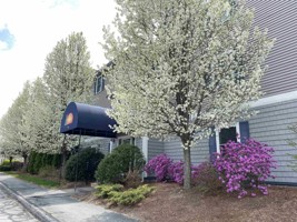 featured image of 99 Eastern Ave #304