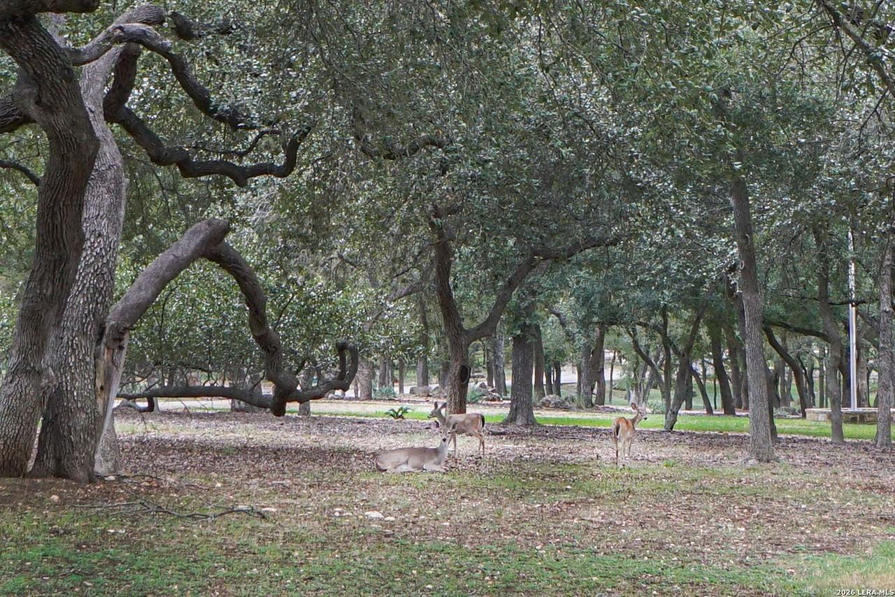 10511 Teich Loop - Photo 5 of 38