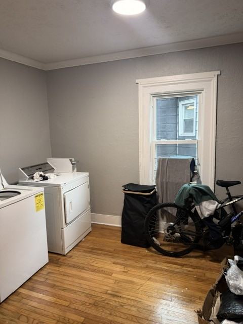 59 Rowley Street - Photo 4 of 5