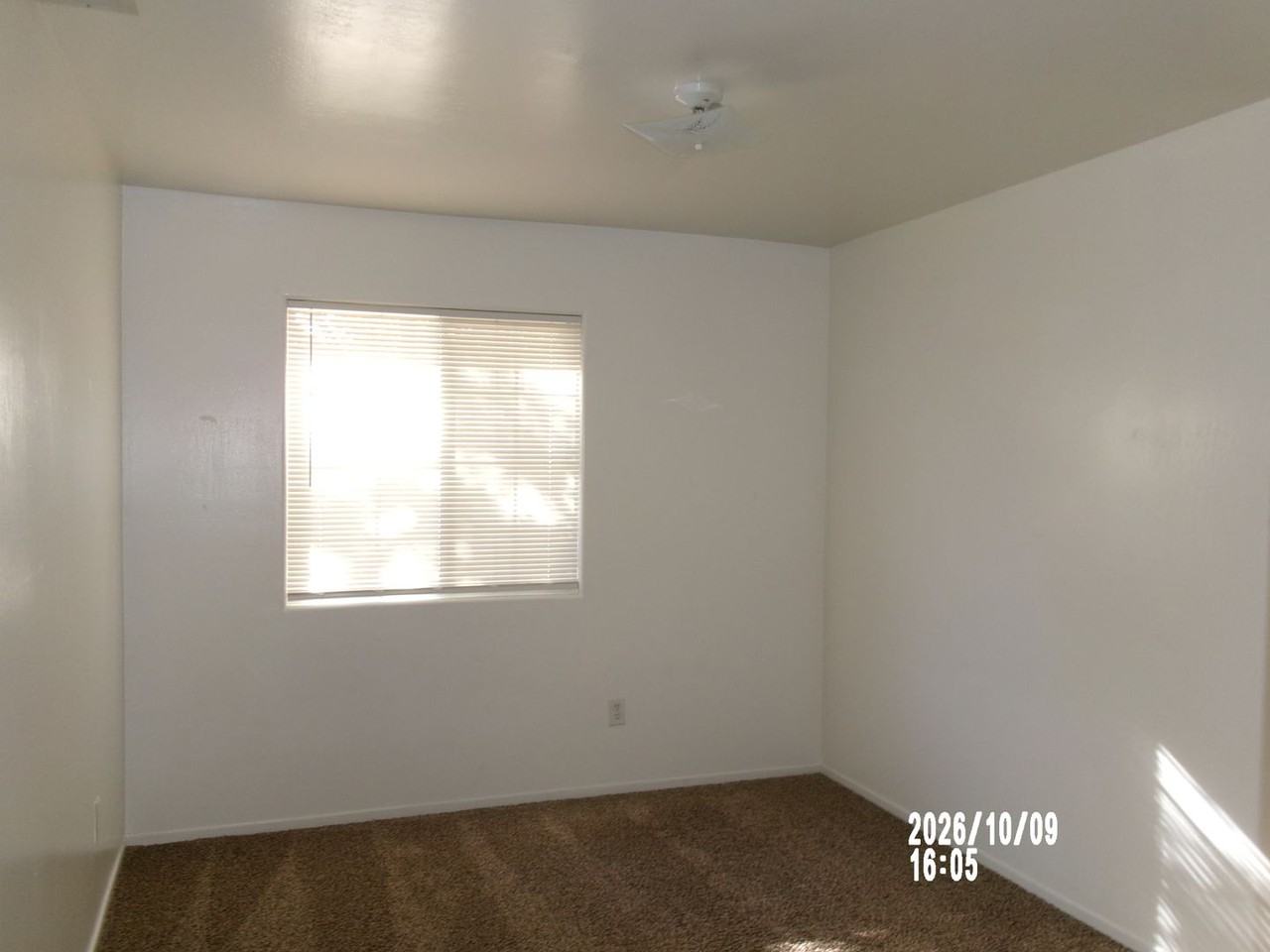 8102 Whitewater Dr #1-4 - Photo 6 of 7