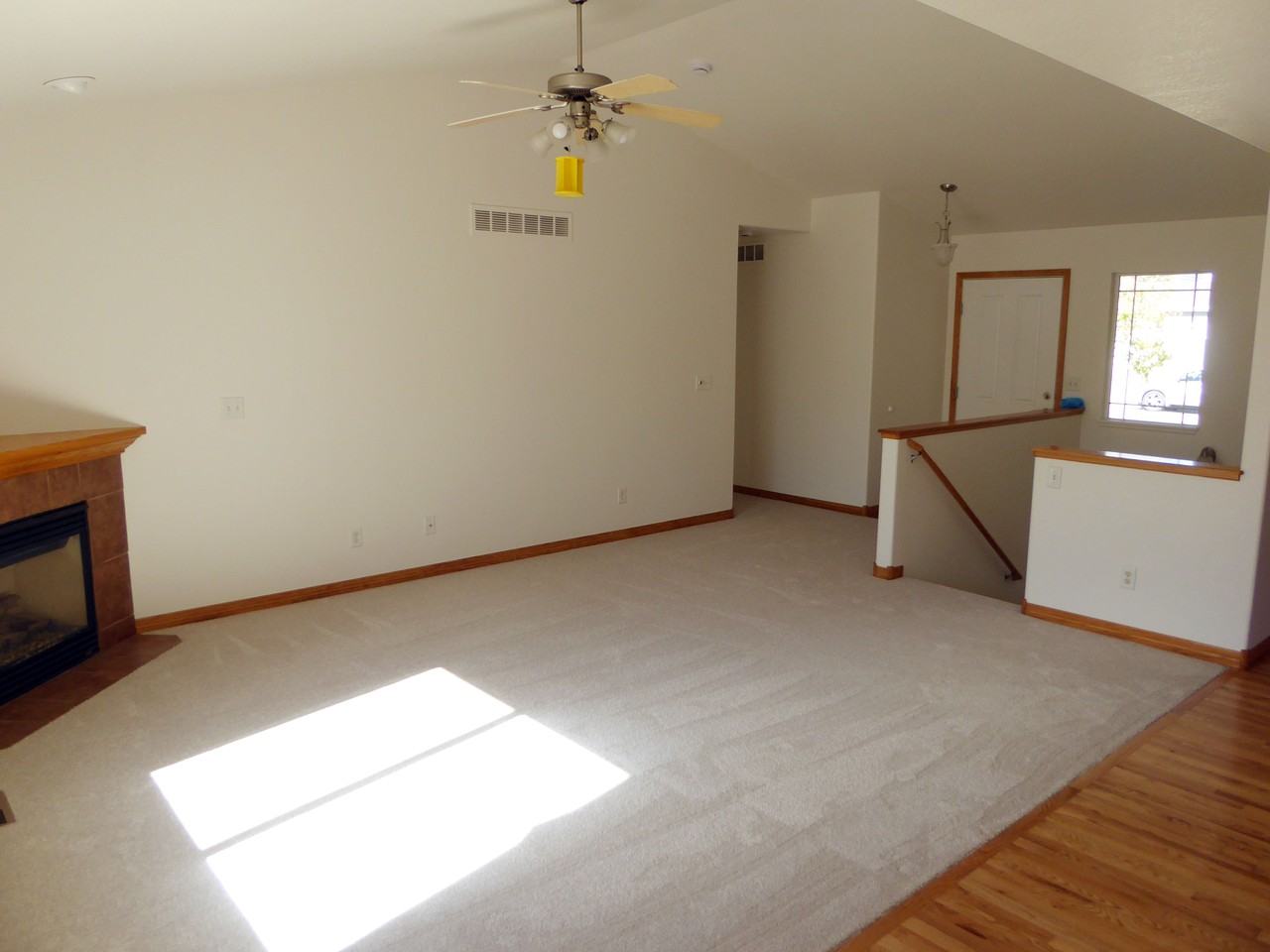 3279 White Buffalo Drive - Photo 4 of 18