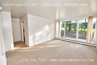 910 Packard St. - Photo 1 of 1