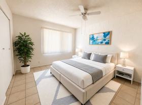 12 palms - Photo 1 of 1