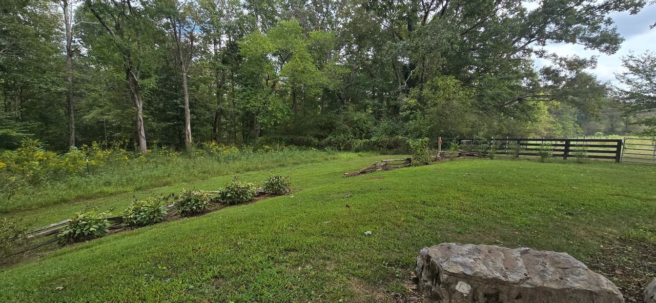 812 Bessie Ln - Photo 4 of 48
