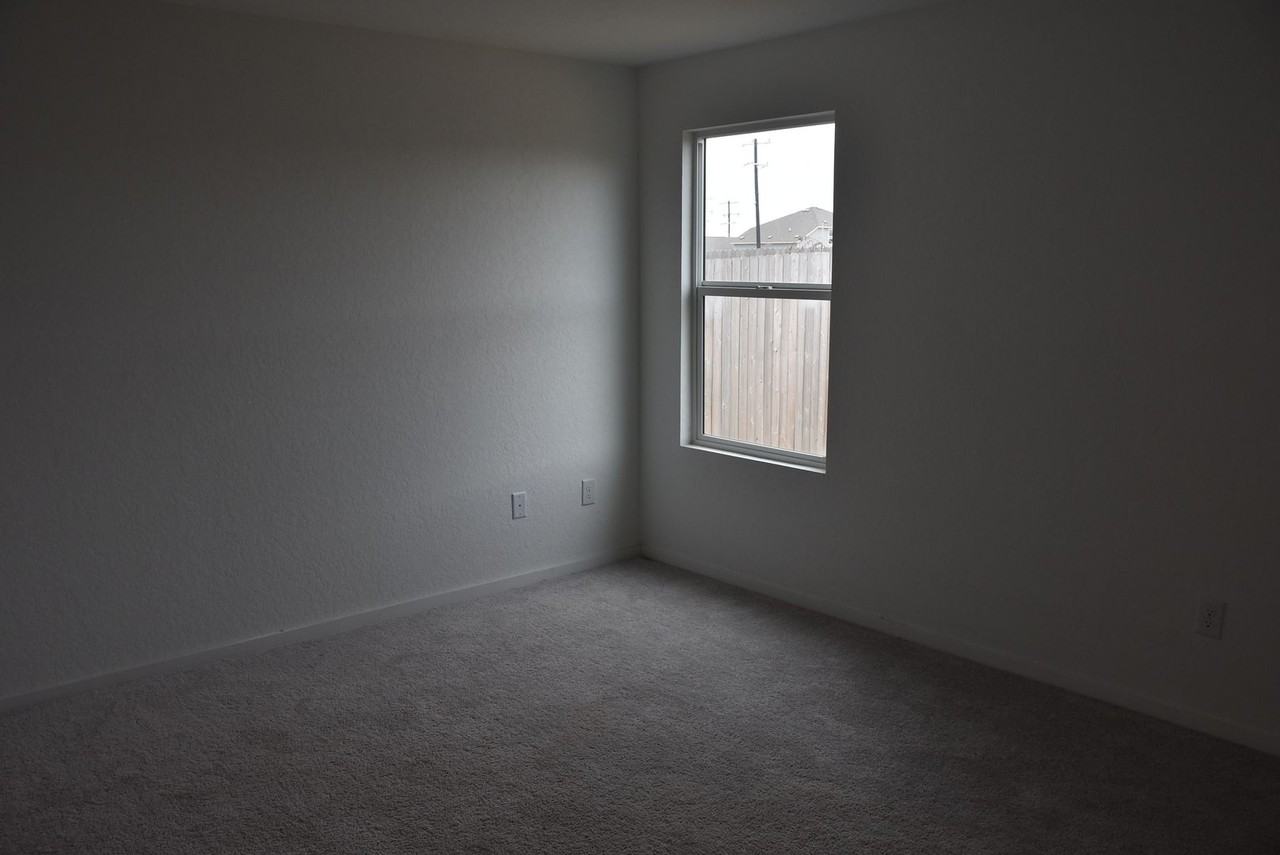 1815 1815 Musk Rose - Photo 6 of 22