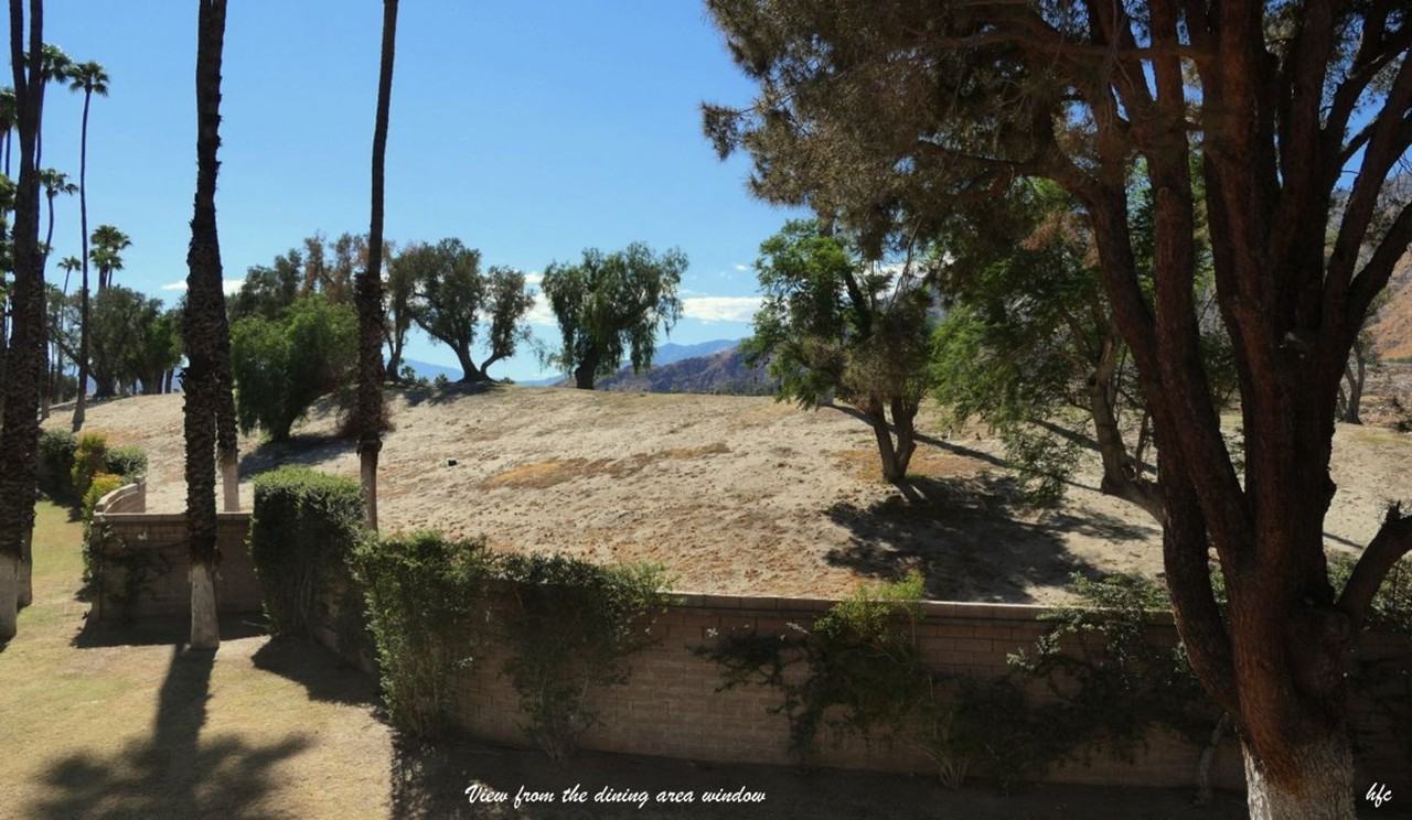 701 N Los Felices Cir W #L216 - Photo 7 of 12