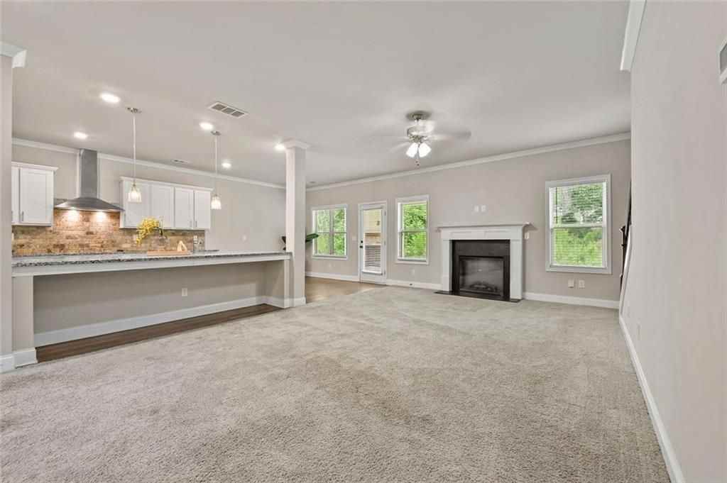 535 Brown Dove Ln - Photo 5 of 50