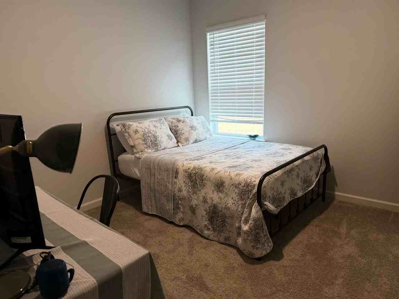 4216 Sandy Hollow Ln S - Photo 6 of 15