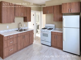 1215 S Homan Ave #3R - Photo 1 of 1