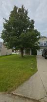 7027 Lark Meadow Run - Photo 1 of 1