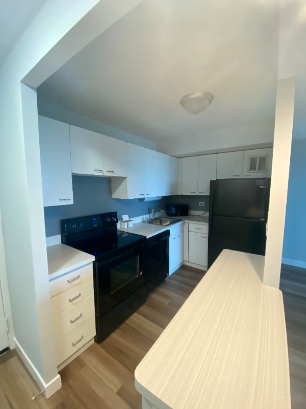 1110 S Michigan Ave - Photo 3 of 13
